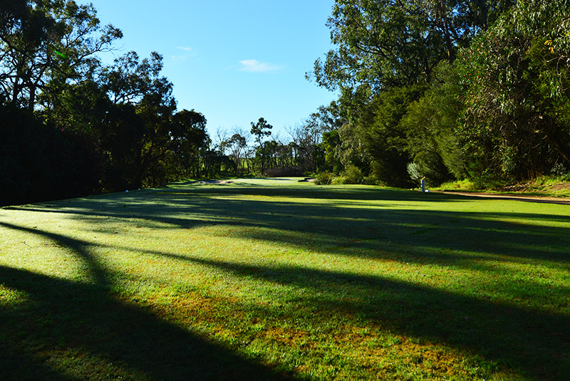 A strong par three from the back tee