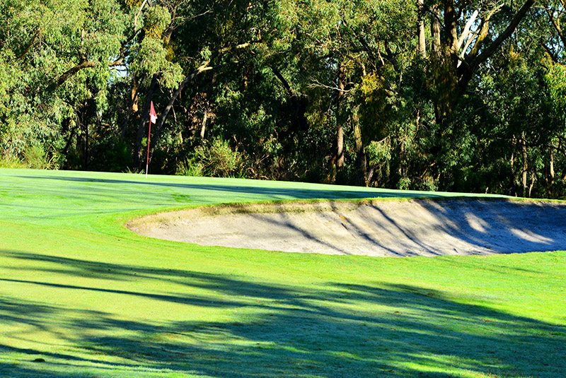 This green slopes left to right