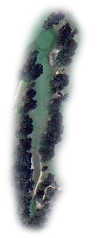 Hole 7 Map