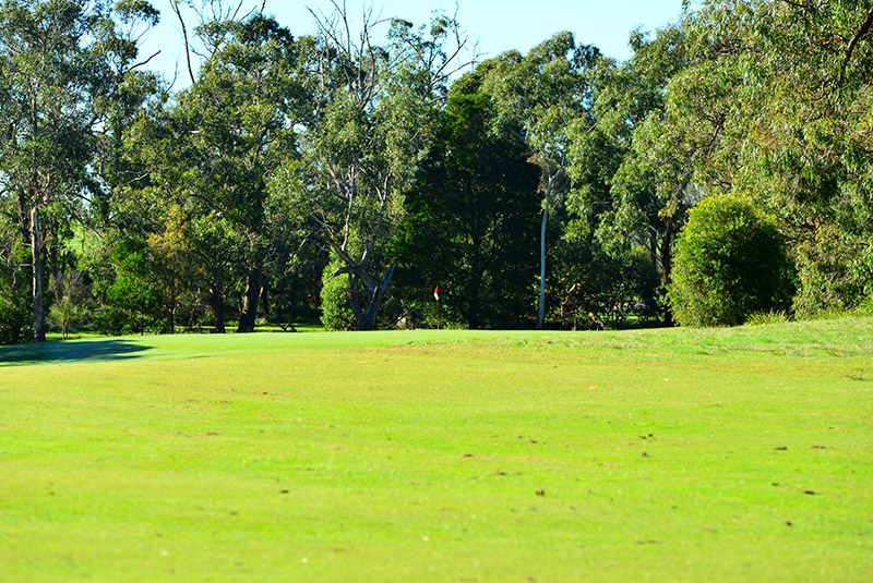 8th hole fairway