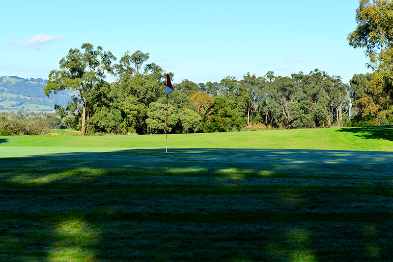 10th hole green